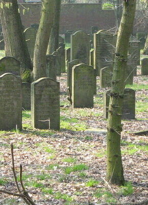 Bild von Führung auf dem jüdischen Friedhof Wandsbek mit Michael Studemund-Halévy