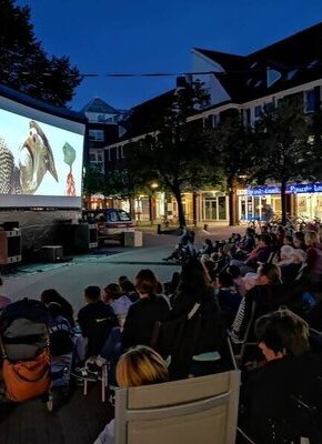 Bild von Open Air Kino in Eidelstedt