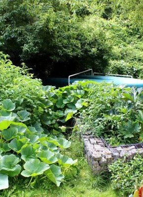 Bild von Erntedinner mit sommerlicher Livemusik