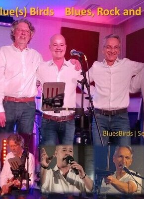 Bild von Blue(s)Birds | Blues, Rock und Soul von 1950 bis ins neue Millennium