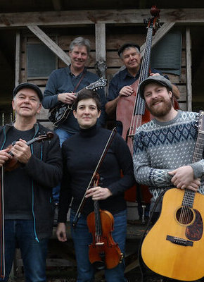 Bild von String Dogs | Playing David Grisman und Modern Bluegrass