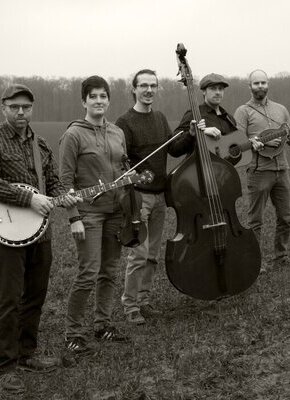 Bild von Blue Fate | traditioneller und zeitgenössischer Bluegrass