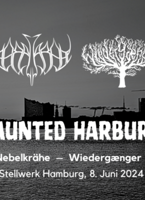 Bild von Haunted Harburg / Jarl, Wiedergænger, Mrok