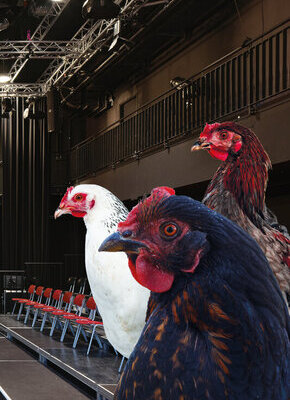 Bild von Das Hühnertheater zur Theaternacht