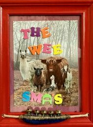 THE WEE SMAS - Livestream mit Publikum