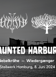 Haunted Harburg / Jarl, Wiedergænger, Mrok