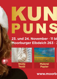 Voradventsmarkt Kunst & Punsch